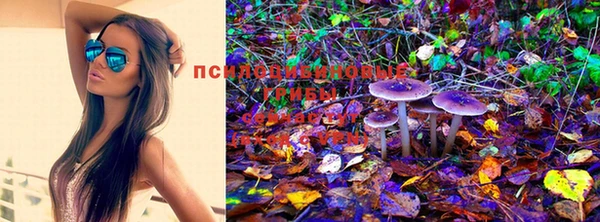 MDMA Premium VHQ Лагань