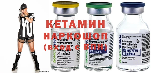 крисы Кулебаки
