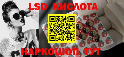гидропоника Краснодар