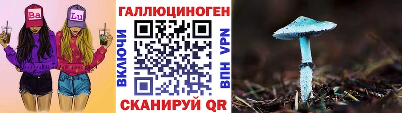 Псилоцибиновые грибы Psilocybine cubensis  Кохма 