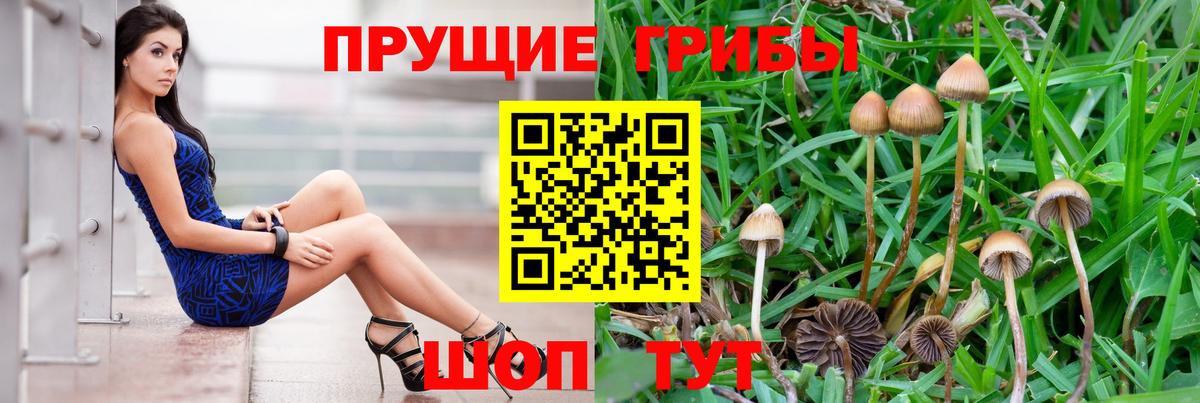 Псилоцибиновые грибы Magic Shrooms Кохма